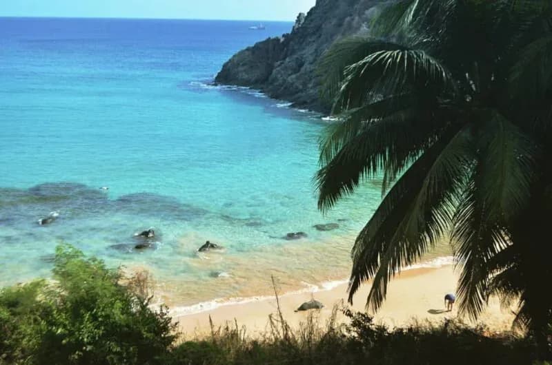 Foto de Praia do Cachorro